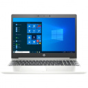 HP ProBook 455 G7 [2D235EA] Pike Silver 15.6" {FHD Ryzen 5 4500U/8Gb/256Gb SSD/W10Pro}